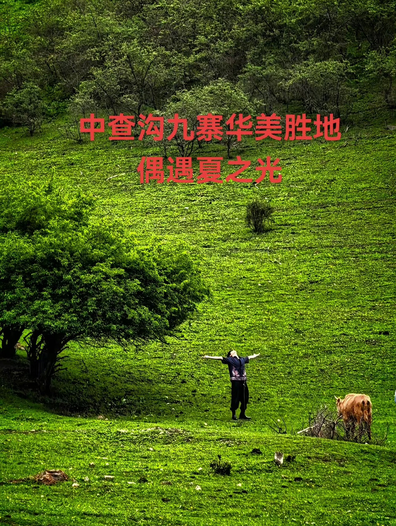 路人刷到会反应一会儿“从哪里开始是人名”但好有生命力啊！