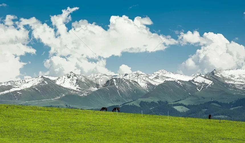 县委书记女儿到了结婚的年龄，28岁，市直公务员，县委书记比较中意的相亲对象，有以