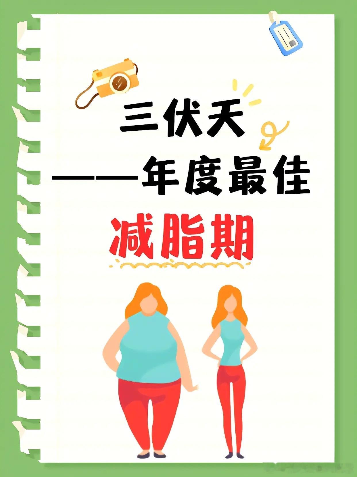 三伏高效减脂法全民营养提升计划 三伏天这样吃，瘦得快还不虚！1、多喝水推荐每日饮