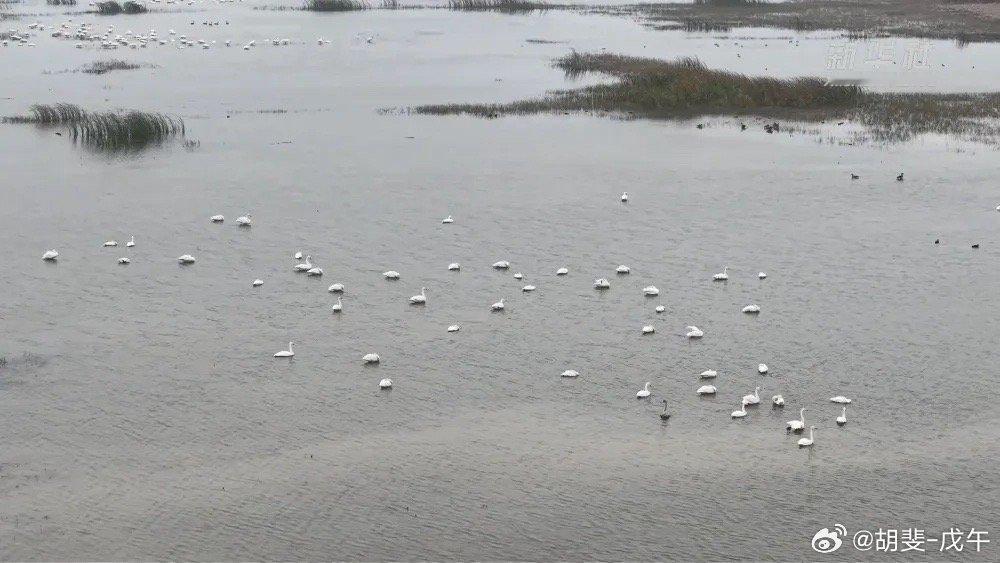 第一步要择时：分清楚牛熊周期，分清楚牛市熊市。熊市空仓下山，牛市满仓上山。第二步