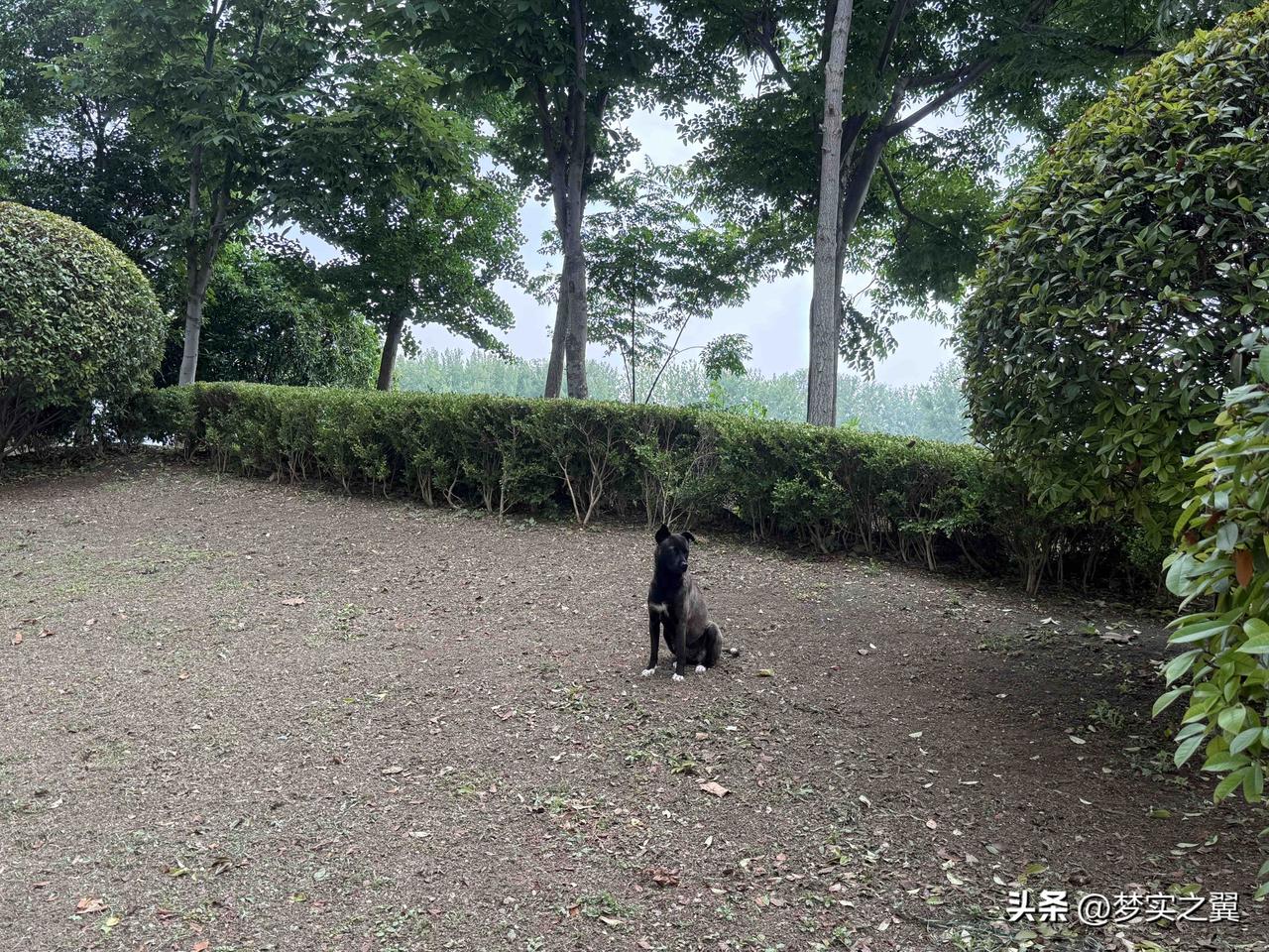 【小对联】
上：……？
下：免责。