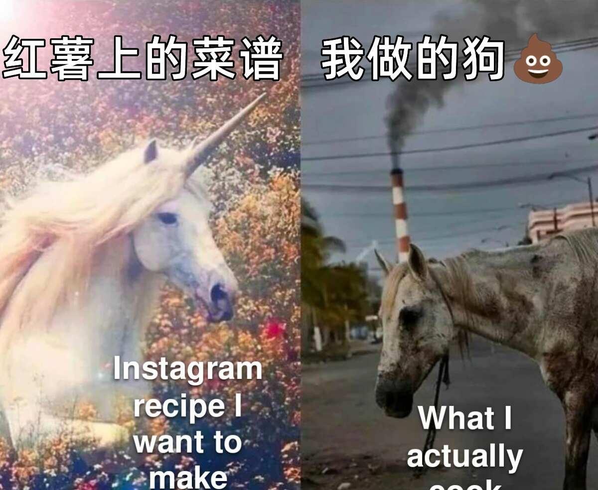 每日梗图 day 80
今日没有知识点
	
无痛英语 梗图 人间真实 离谱但合理