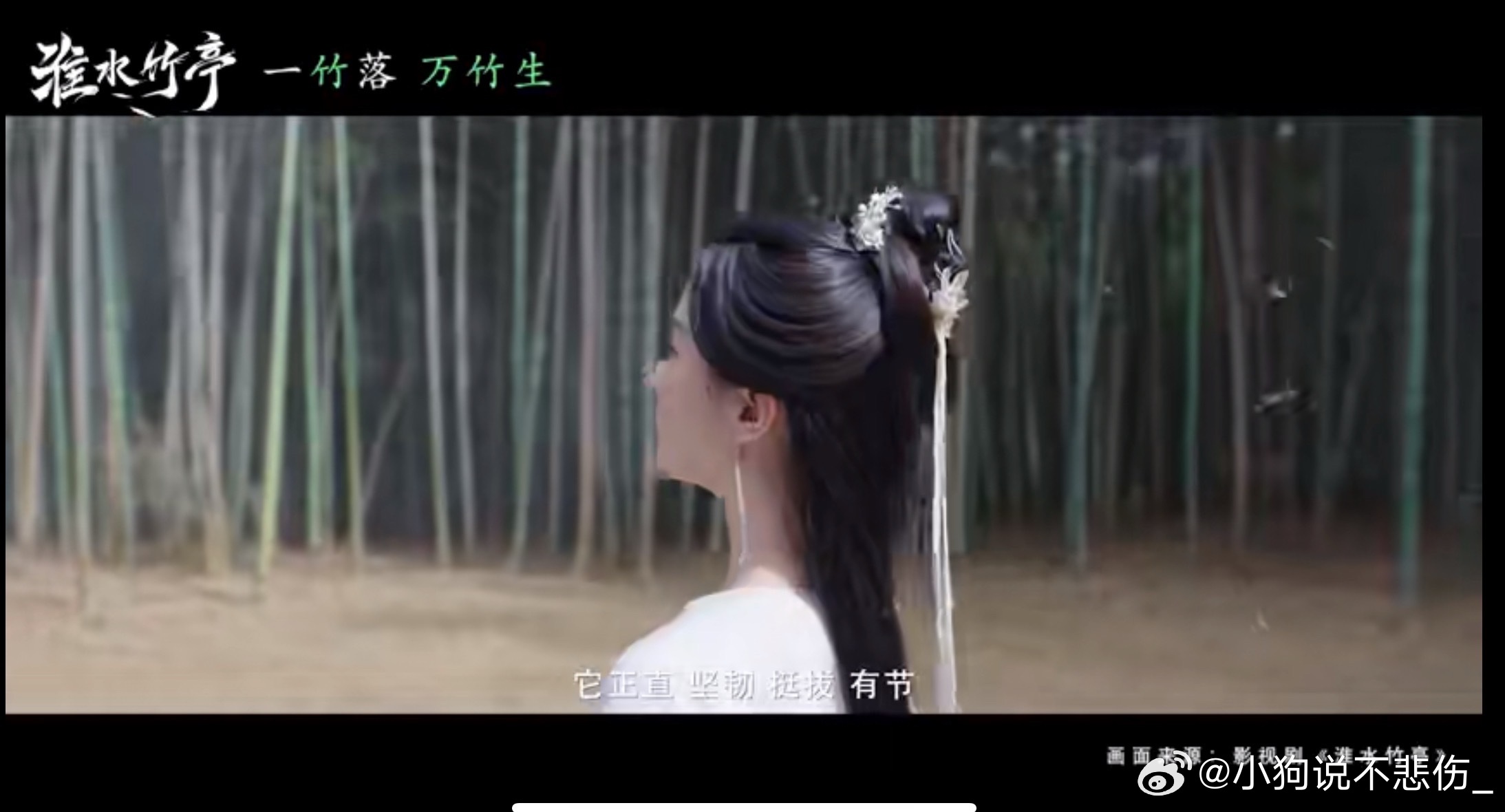 竹子的一生被东方淮竹具象化了淮水竹亭 竹子精本精！别人家的竹子只会