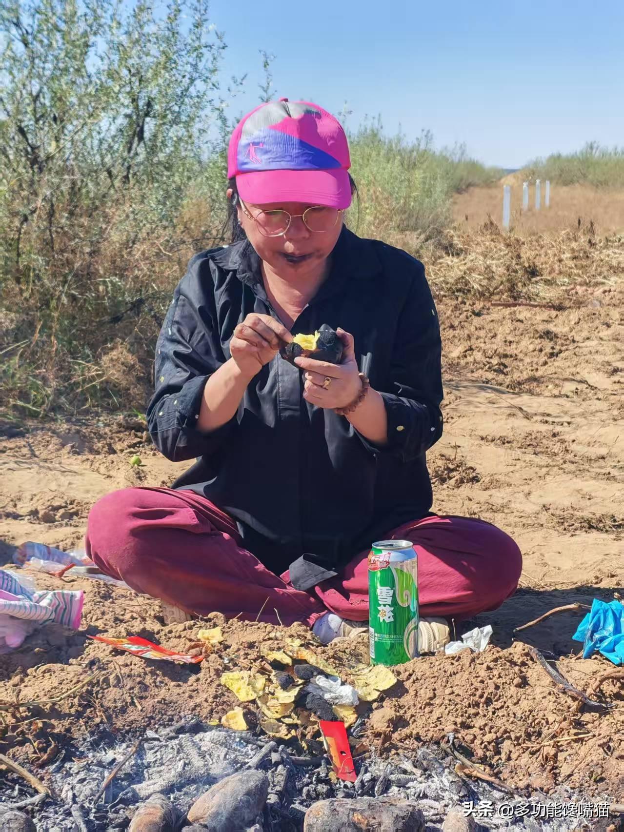 秋日生活打卡季 有时候被人偷拍也是一种幸福吧！
山西偏关猫姐前段时间在地里吃“烧