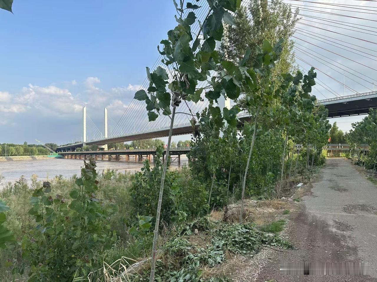 山东滨州渤海十八路南端西边的黄河高速桥要加宽扩建了，桥下面已经修好了高速拓宽施工
