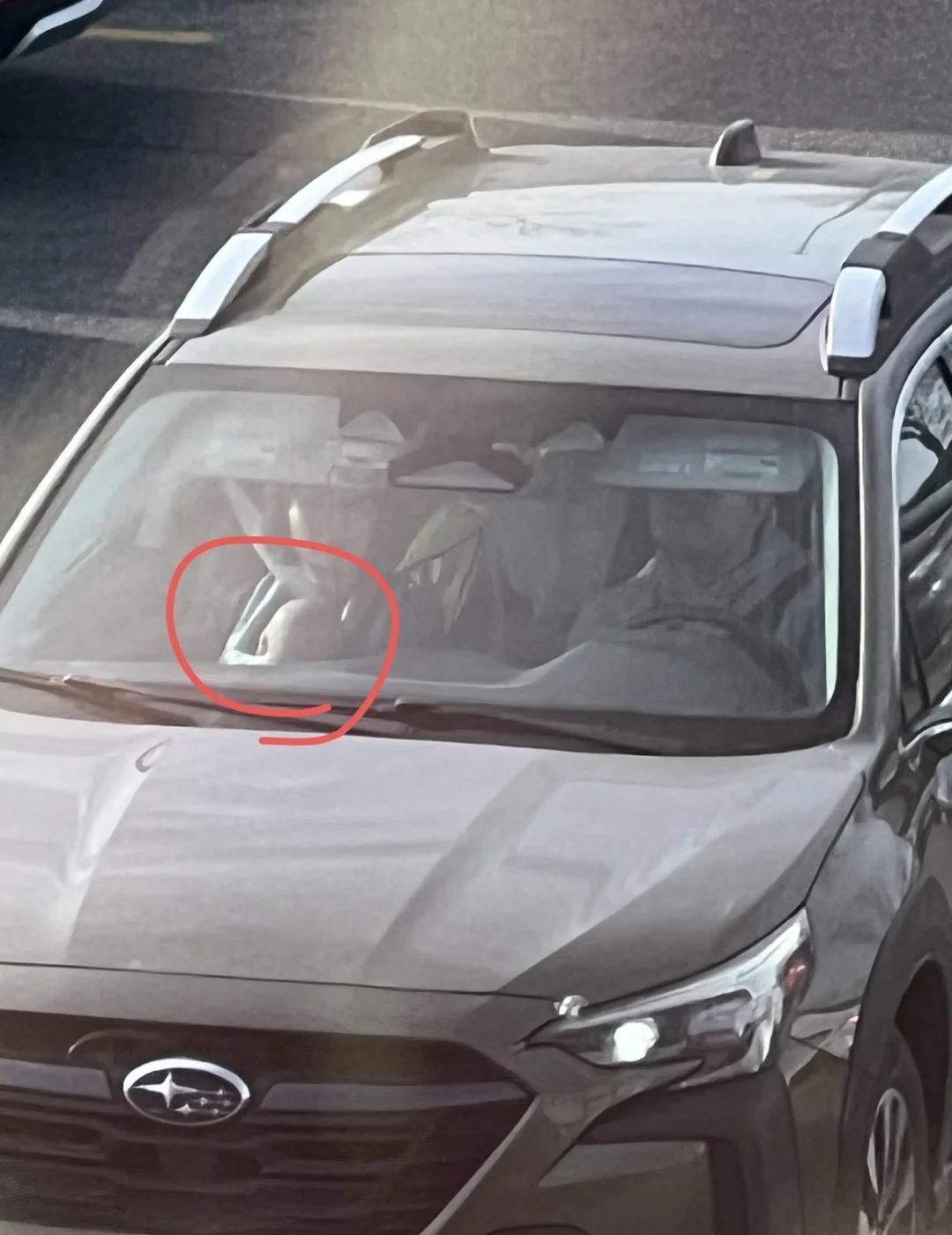 卡尔加里寻人
今天带娃去South Calgary health center打