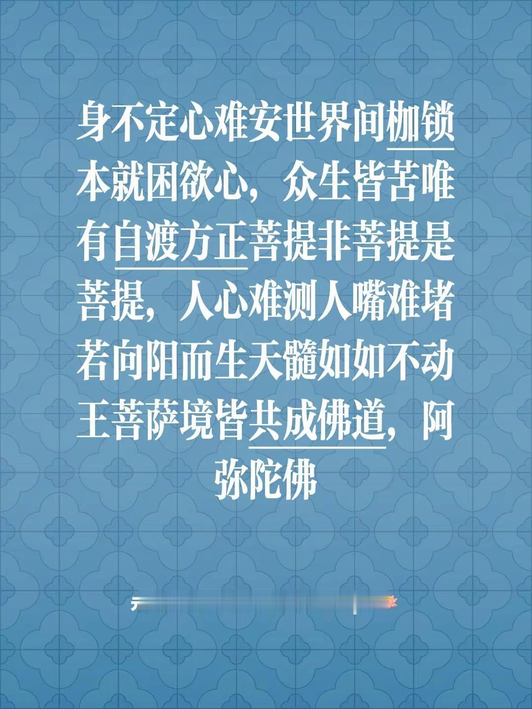 我评论了@元婴牧神苏武大帝（幽冥教主Ray）🪷 的作品：身不定心难安世界间枷锁