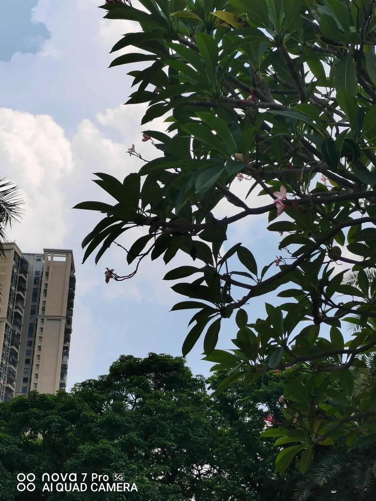 如果你在一段关系和感情里，
感受到压抑焦虑煎熬，疲惫憔悴脸色差，烦恼不断，诸事不