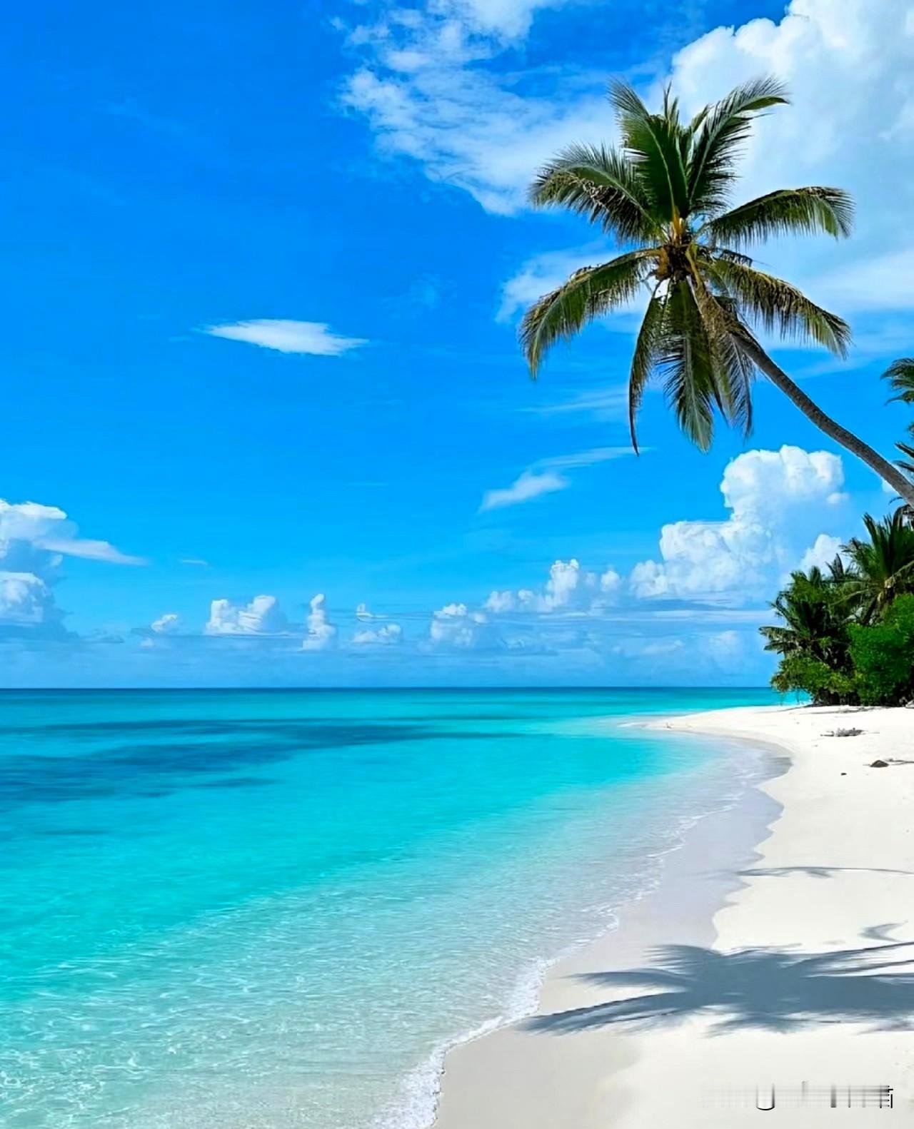 2026年，我就一个超实在的小目标：攒够假期，带着爸妈去一趟海边。
 
不用赶早