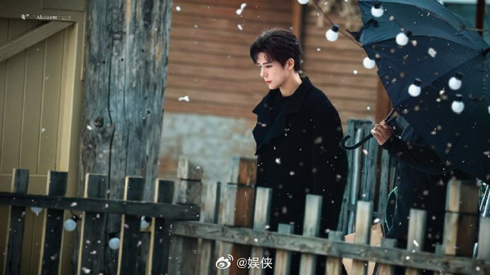 大雪纷飞，雪花轻舞，漫天飞絮与皑皑白雪绘成一幅绝美画卷，王安宇饰演的季清和置身雪