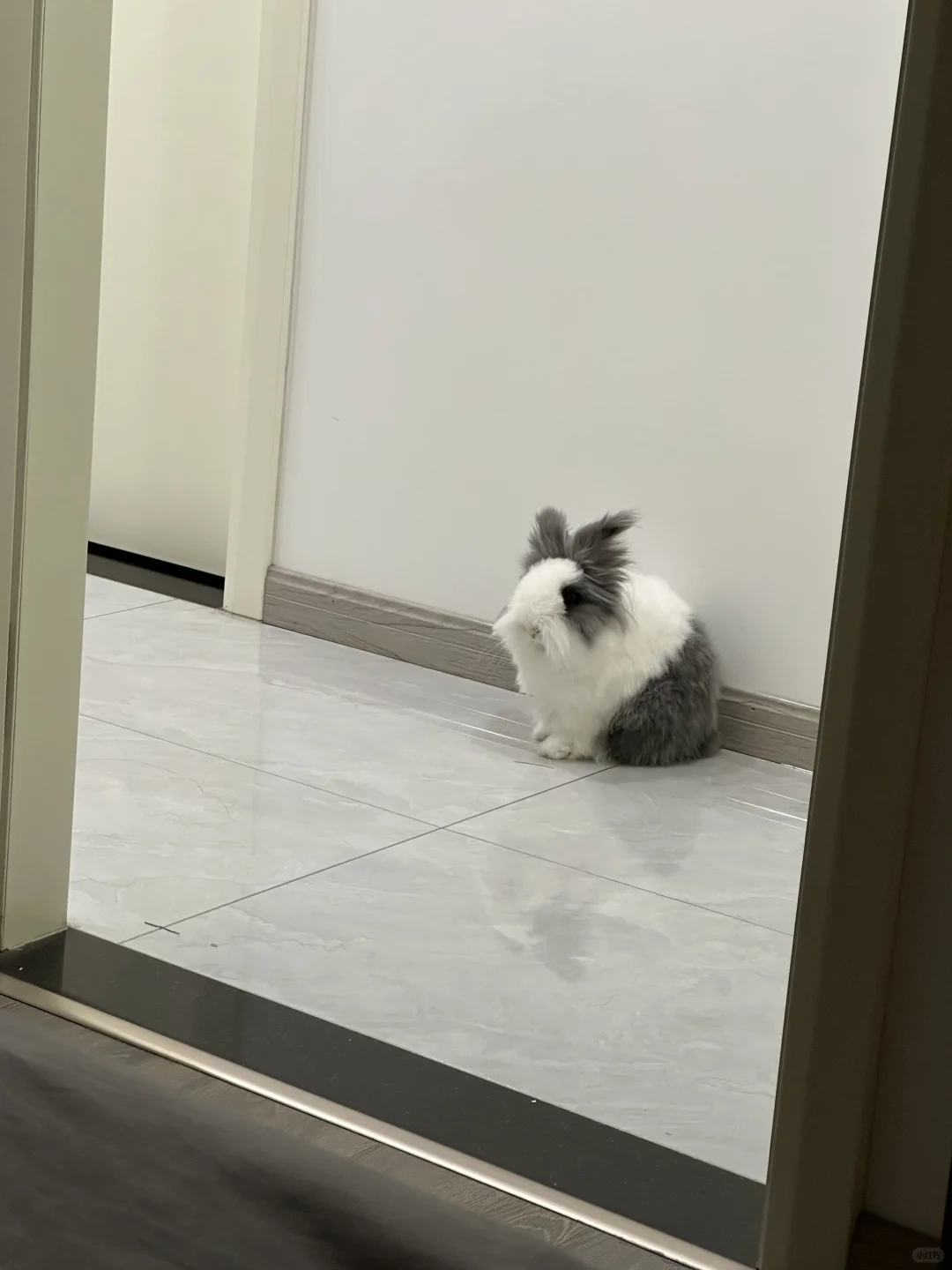 他真的很乖