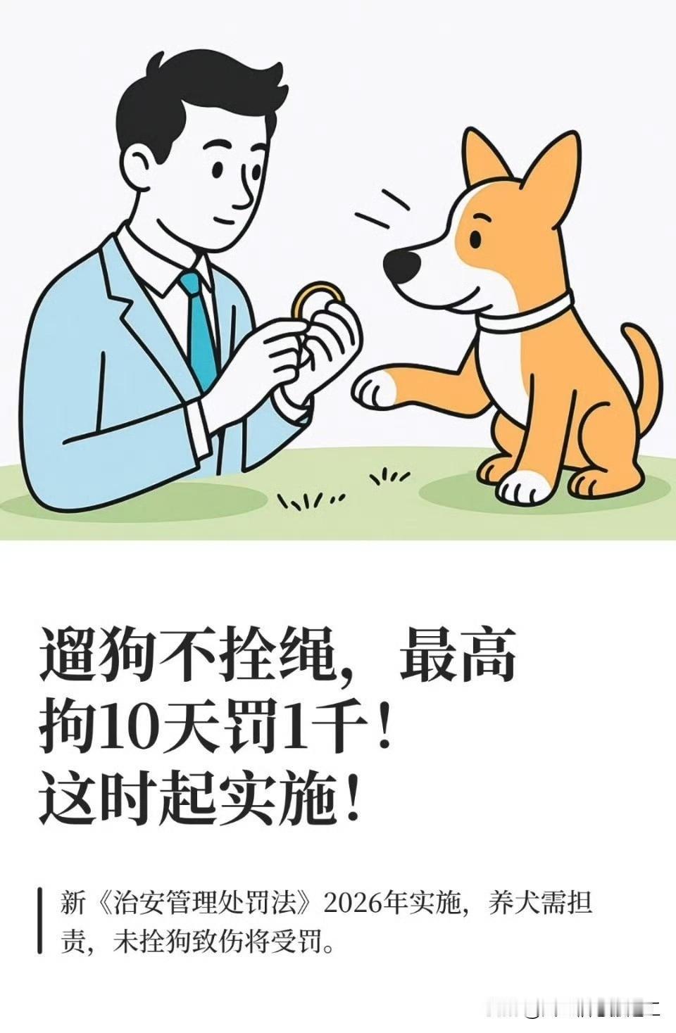 明年起遛狗不拴绳最高拘10天罚1千

遛狗不牵绳终于是有处罚了。

感觉可以效仿