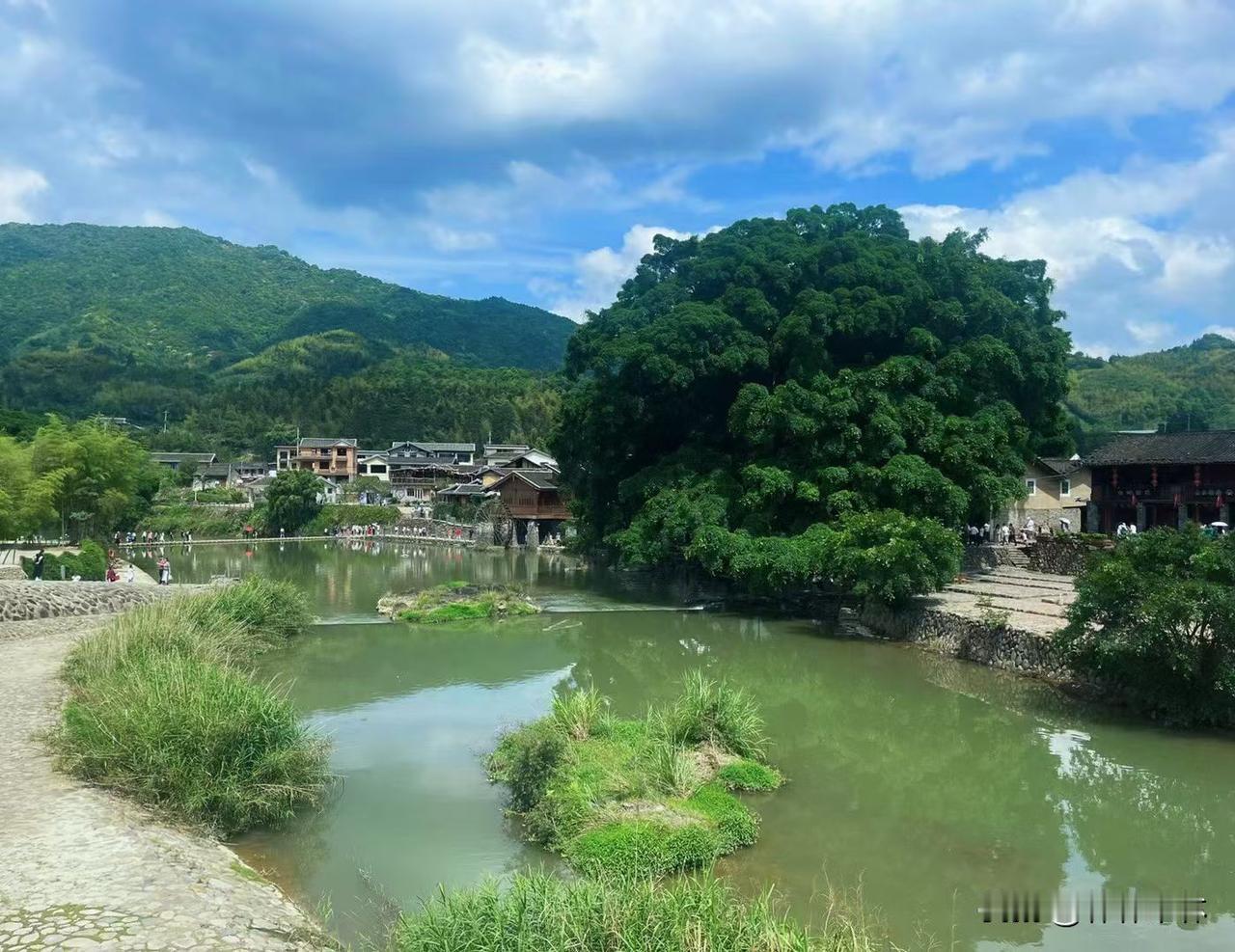 我二叔我姑姑那是出了名的扣搜，这一点我非常的看不惯

说个我觉得非常搞笑的事，我