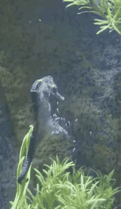 一次生这么多还这么贵呢[灵光一闪]