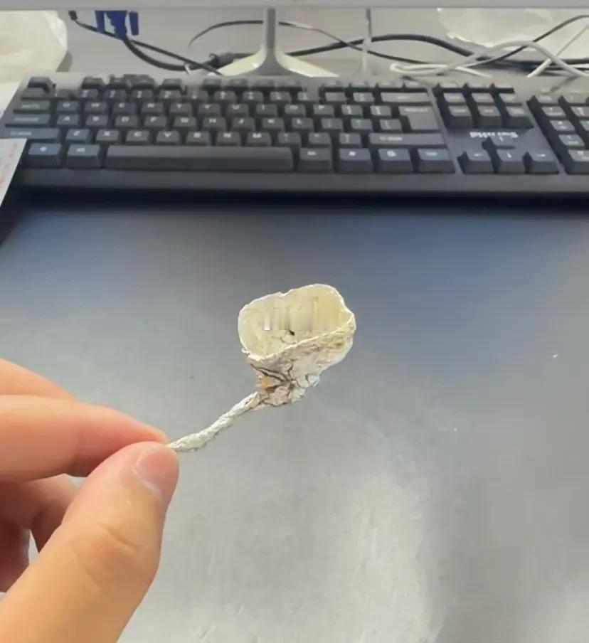 孩子房间发现的，这是什么？ 