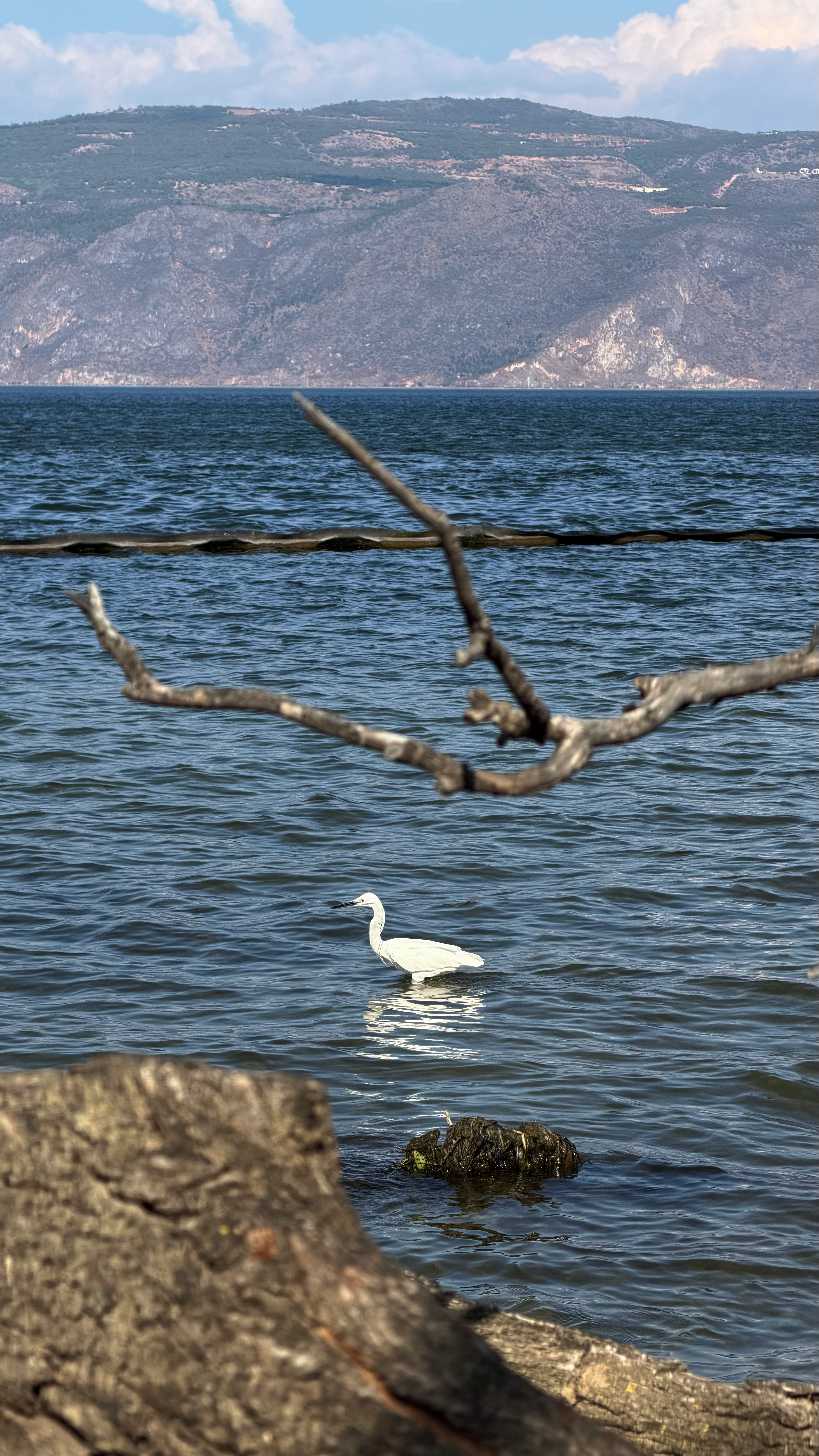 分享图片 大理·洱海