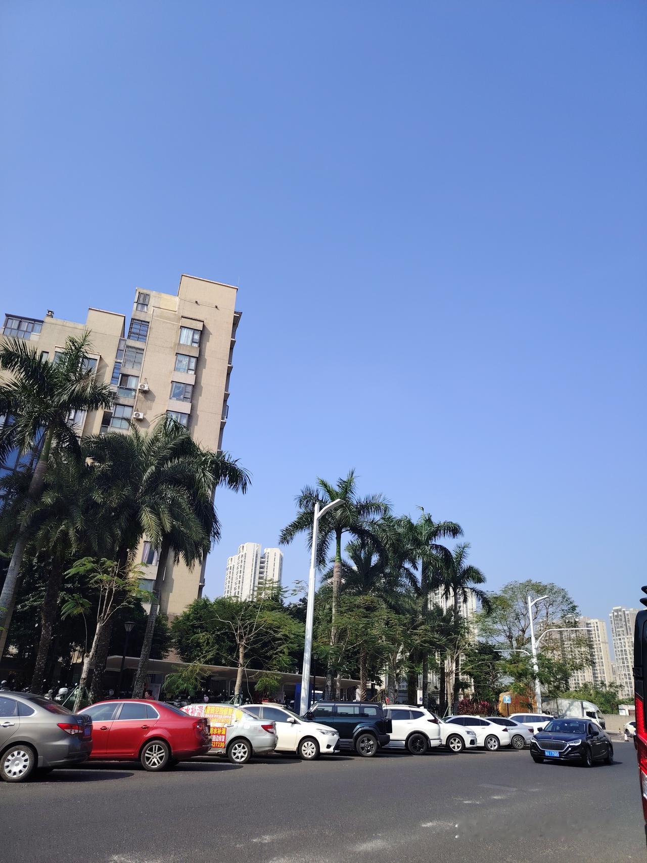 晒图笔记大赛今天天气好晴朗，心情也跟着好起来了，上外面散散步。