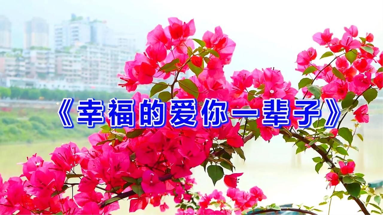 甜蜜情歌《幸福的爱你一辈子》唱出天下夫妻心声，真的太好听了！