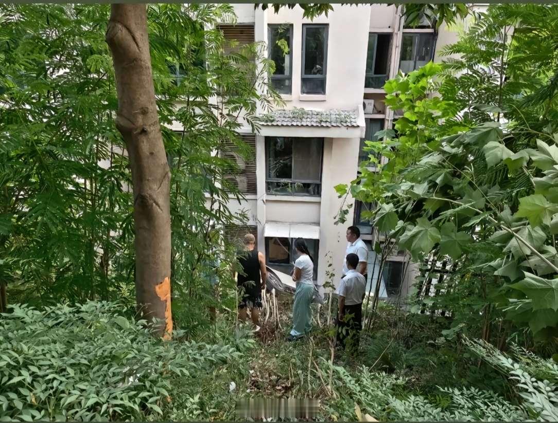 高难度猜车，这什么车飞到别人家了？ ​​​