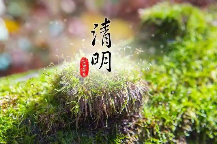 清明，是一场洗涤灵魂的旅行

清明，清明

天清气朗踏行程

先人庭前草青青
