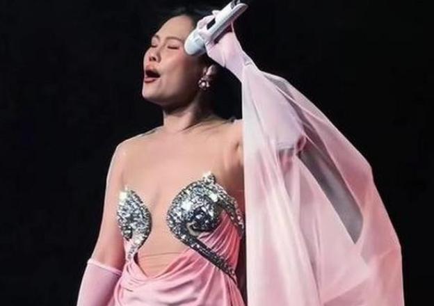 画面里这套粉色演出服看着仙气飘飘，实则大面积采用超薄透视纱料，胸口仅靠两片镶满水