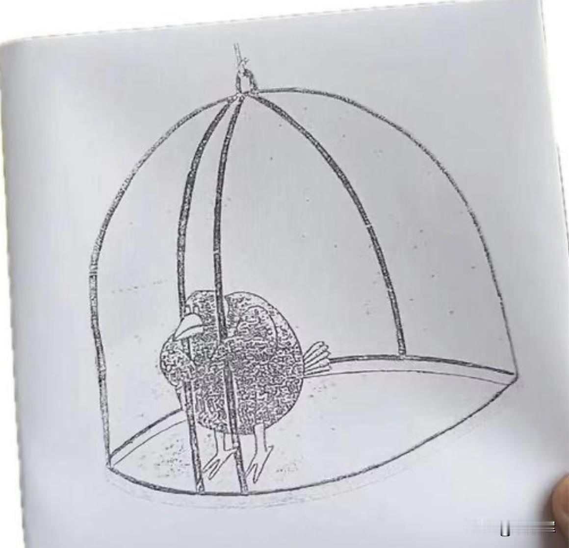 应试教育之下，许多人的思维模式已经僵化，活在自己给自己设置的条条框框里，而不自知