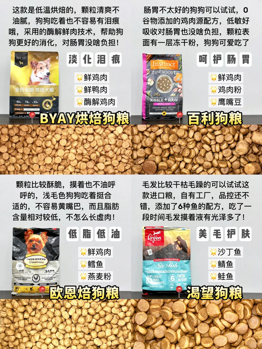 吐血整理！不同品种狗狗这样选狗粮不吃亏！