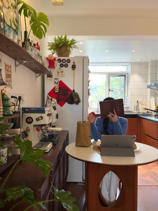 真的好爱我的中古开放式餐厨！