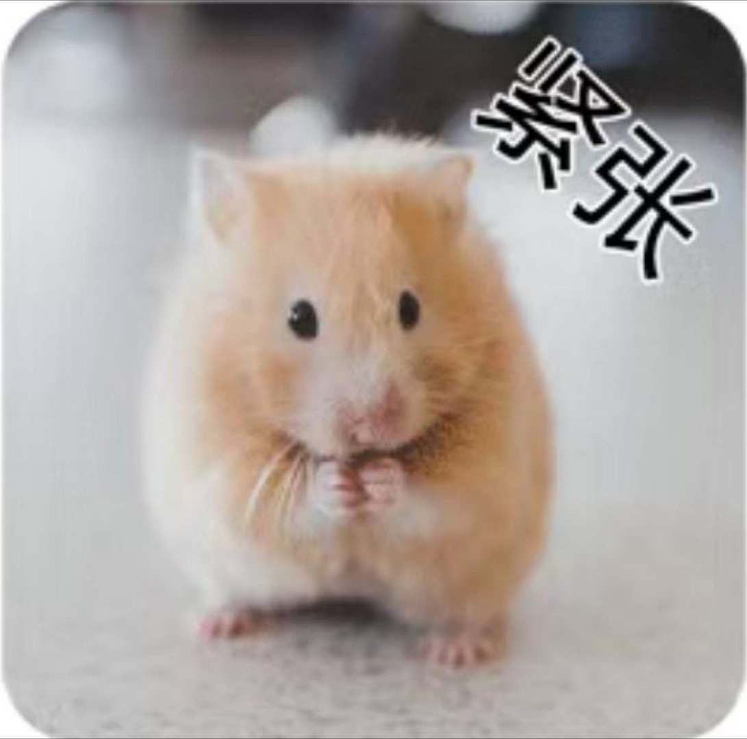 #国乒男团vs瑞典#，咋样了？我发誓一直在看书，没看比赛！ ​​​