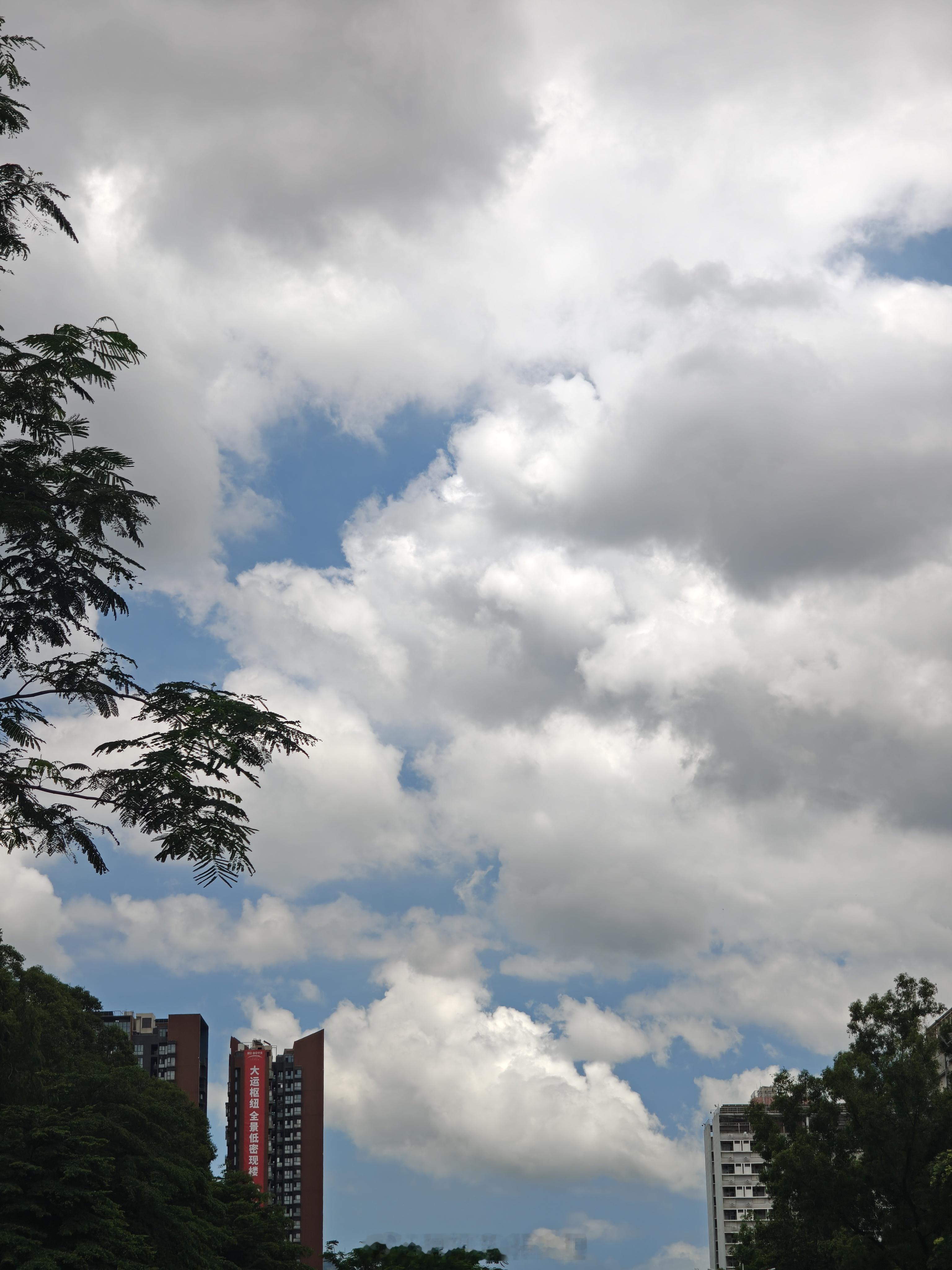 在一阵连绵不断的雨水过后，深圳又彻底进入了烧烤模式。这个天户外活动，需要勇气！?