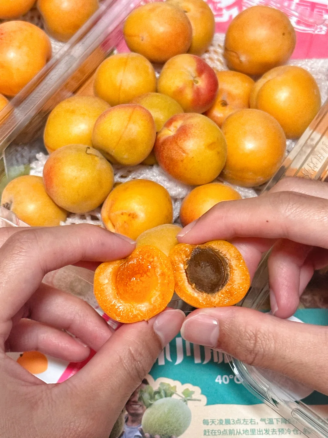 小暑鲜果！这款新疆奶皇杏太合我口味了