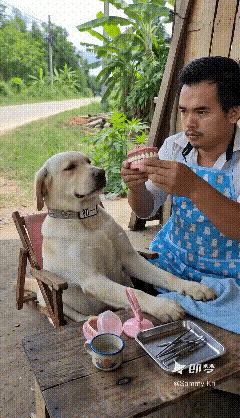 狗狗笑起来感觉怪怪的[捂脸][捂脸]