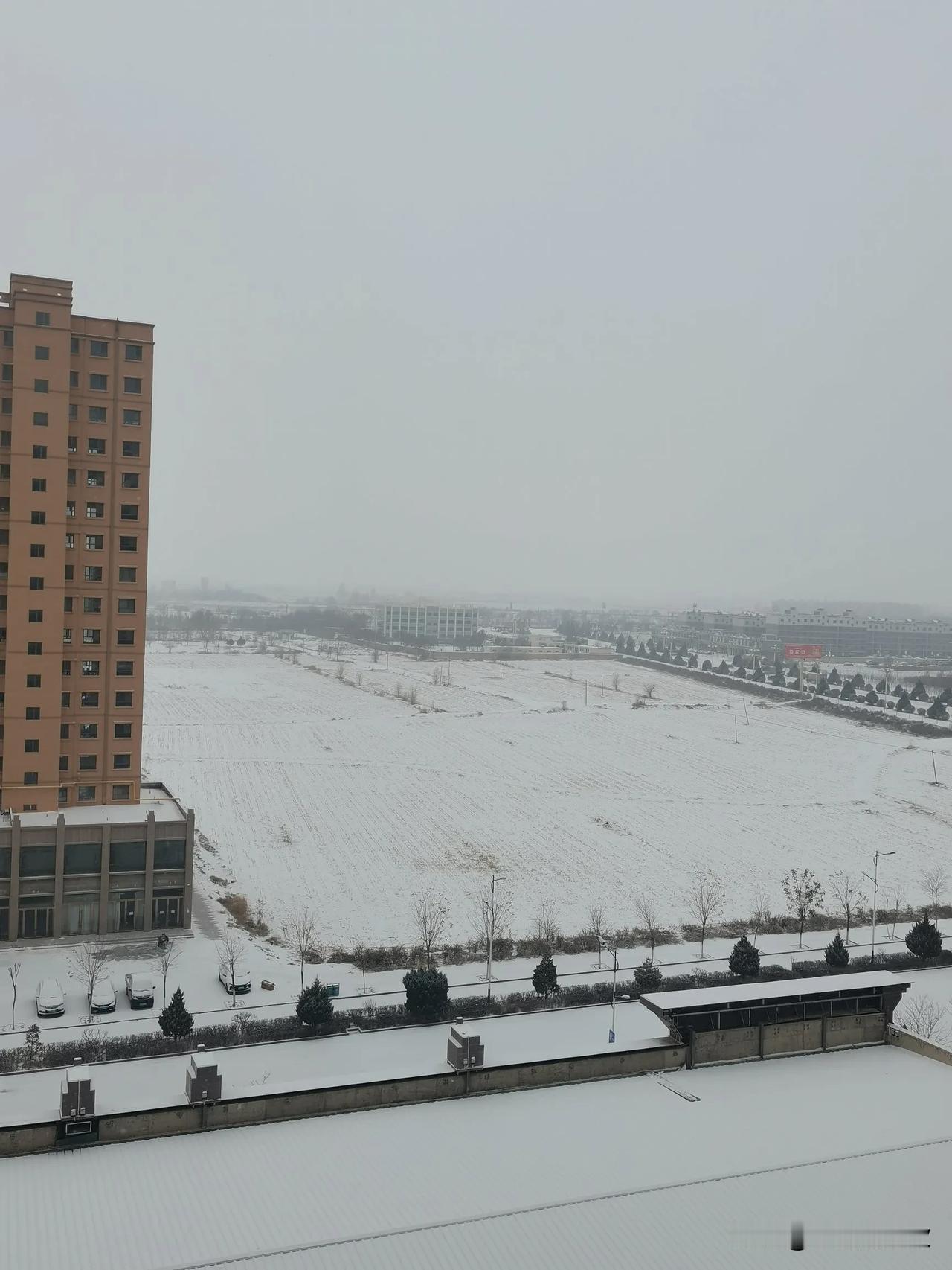 下雪了，气温-14到-6℃。

一下雪，早晨时间就有点紧张。

上次下雪，因为温