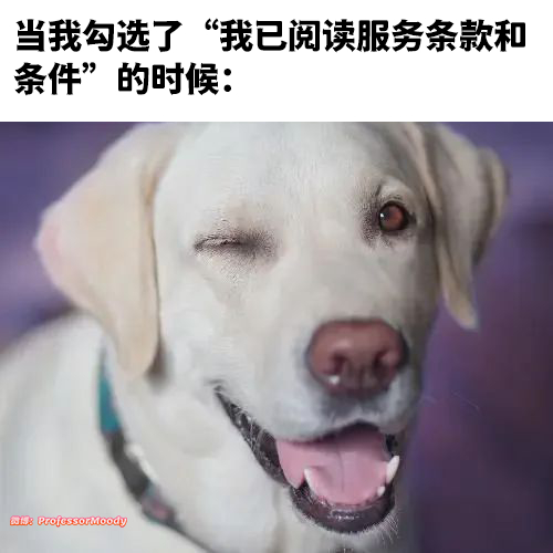 这根本就是我： 