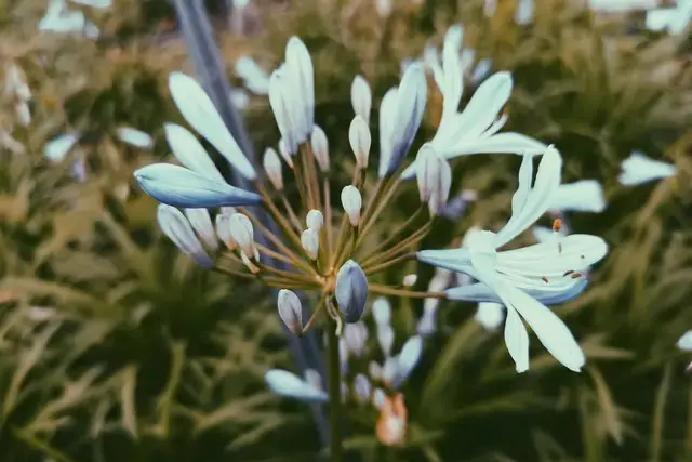 六十岁那年，她签下一纸离婚协议，结束了三十年的婚姻。身边人劝她一个人怎么过得下去