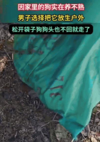 男子养了一条狗，却怎么都养不熟，无奈之下，他只能将狗子装进麻袋，带到野外放生，养
