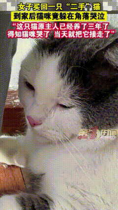 重庆，一女子买回一只“二手”猫咪，一路很安静，不闹也不叫，不曾想到家后猫咪竟躲在