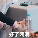 怡辰侃侃娱乐