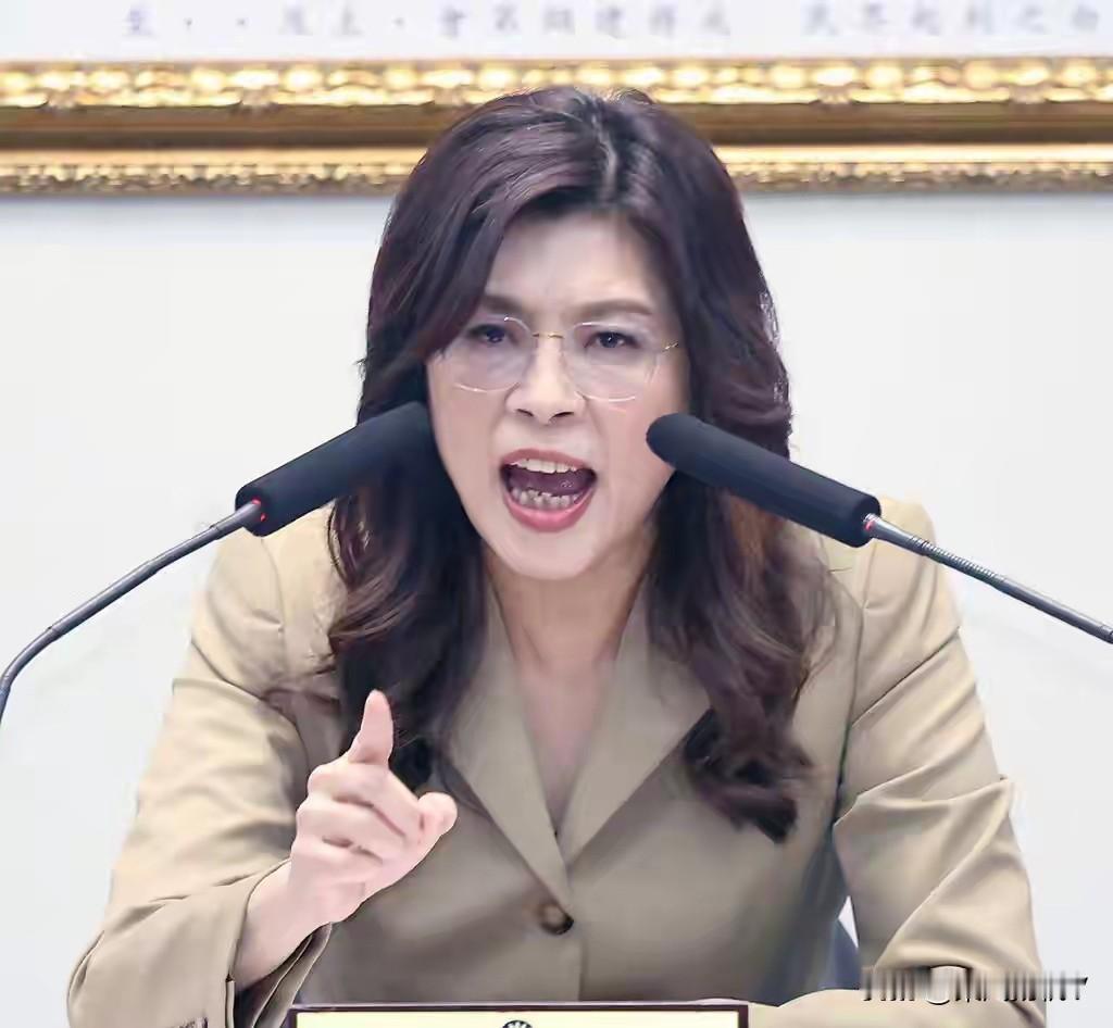 郑丽文又表态了！国民党主席郑丽文近日公开直言，台湾很难通过公投方式推进和平统一，