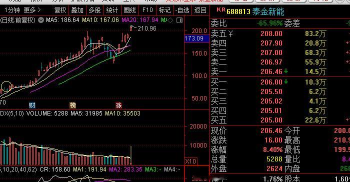 热烈祝贺蜗牛主仓持仓品种泰金新能近期持续大涨并创出历史新高，蜗牛出品，必属精品，