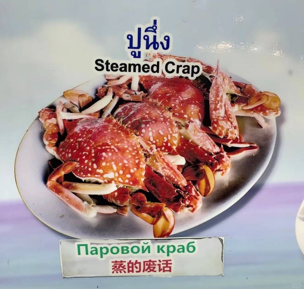 泰国的中文菜单受众群体到底是谁文化水平限制不了我点菜水平这些菜单真是给我看笑了哈