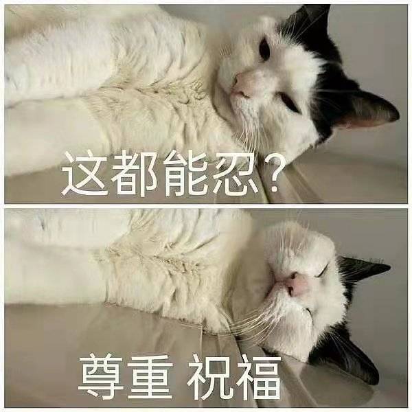 别说长辈了，好多爸妈也是拿手机哄孩子尤其是那些两三岁的孩子，他们怎么敢啊？！真的