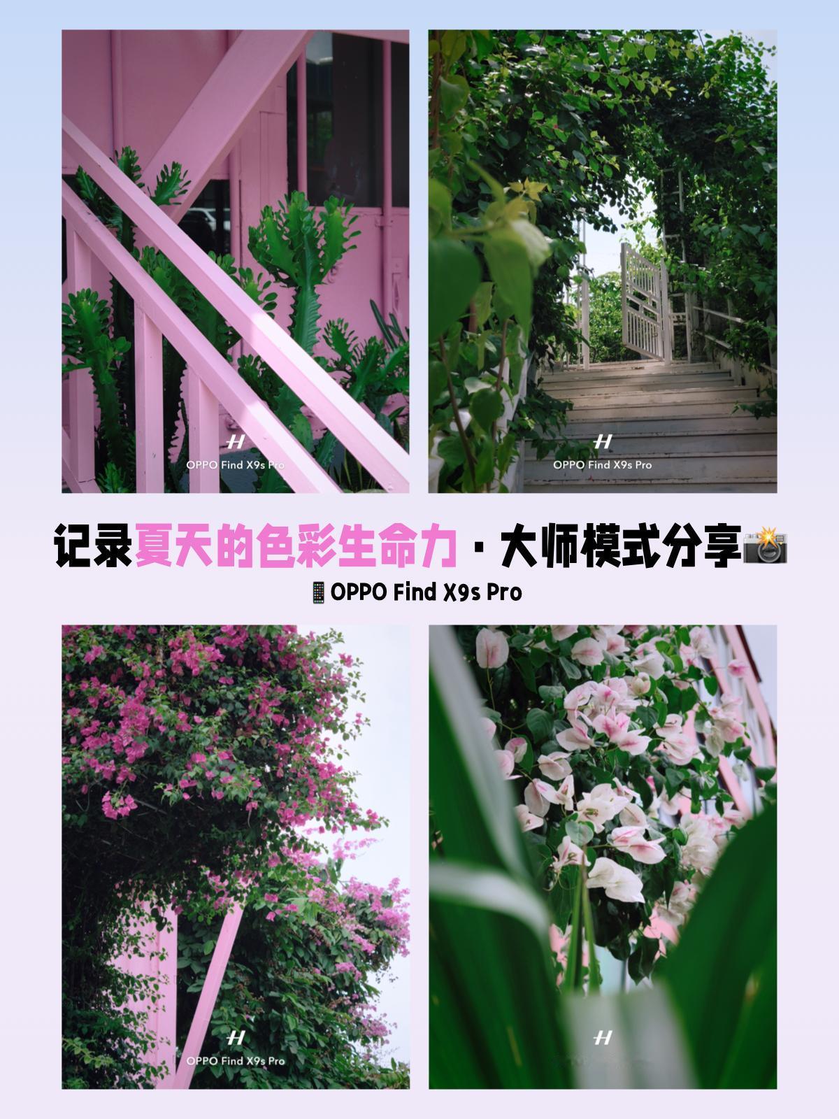 记录夏天的色彩生命力，大师模式锁S了
夏天的色彩总是带着蓬勃的生命力
跟初春的时
