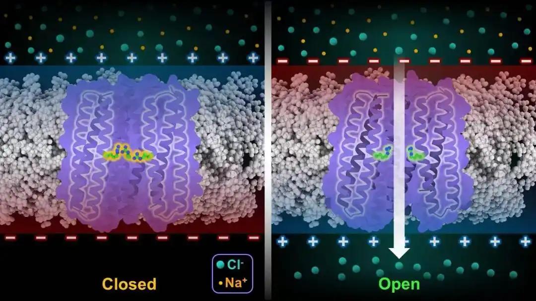 真的太反常了，西方国家对于中国的态度正在发生变化！西湖大学历时六年实现两项“世界