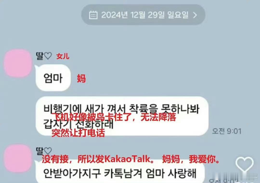韩国客机着火179人遇难 “妈妈，我爱你”，看到这个，真的哭死了[泪] 