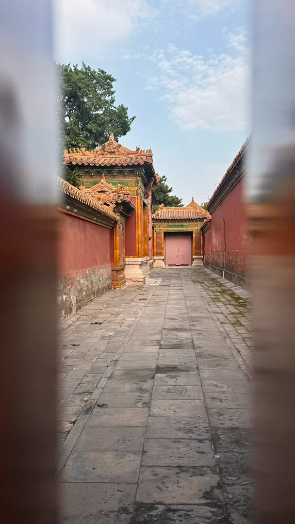 旅游和爷爷奶奶的北京之旅倩的旅游小记北京 闯入皇家地盘，主打闲逛蹭景 北京·故宫