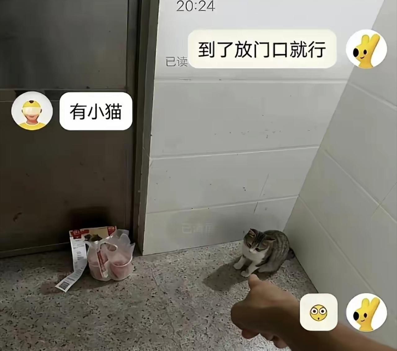 顾客提前交代外卖直接放门口，不用打电话。外卖小哥送餐抵达，一开门就撞见一只狸花猫