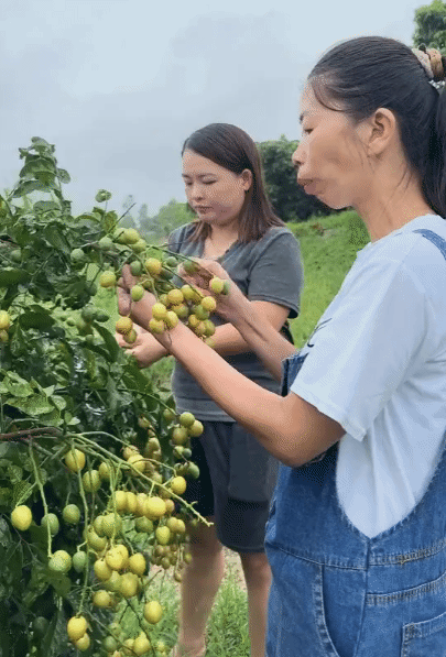 这是那个穿着雨衣，拿着望远镜，淌着口水喊王一博的美女吗？[捂脸]