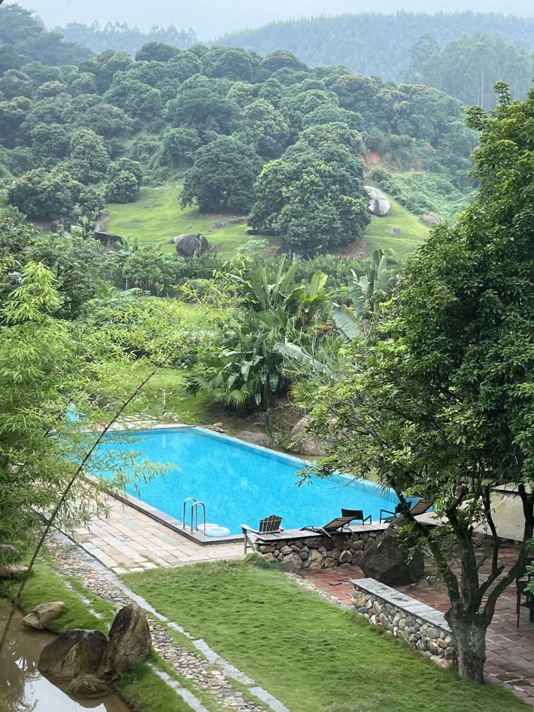 山雨朦胧中的森系治愈之旅，500亩果林的秘境