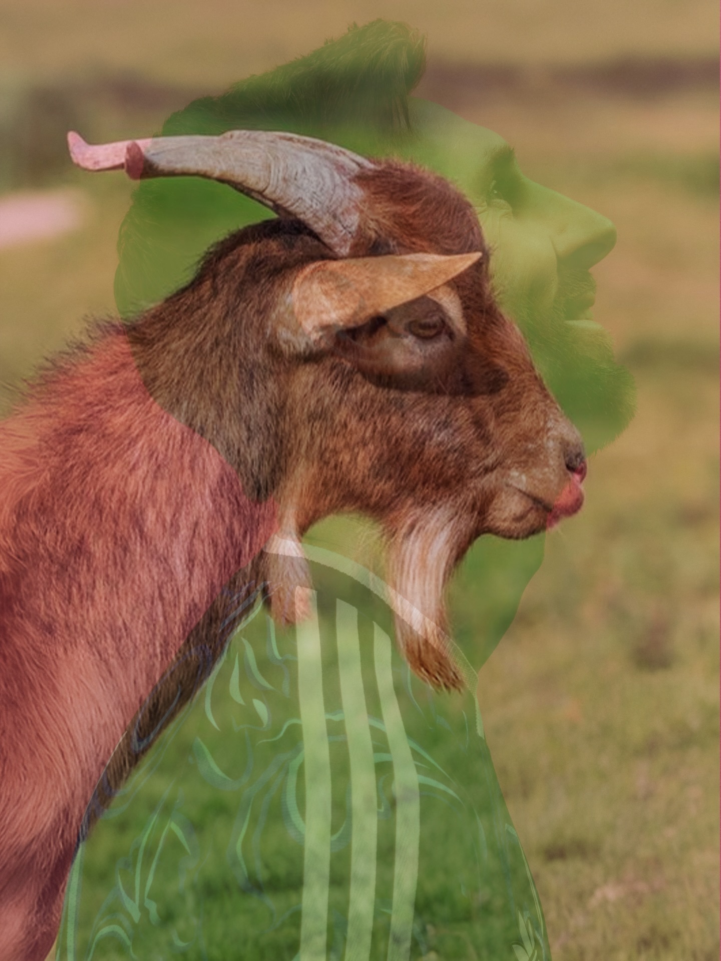 阿根廷国家队英文官方ins：滑动，就是这样👉🐐梅西